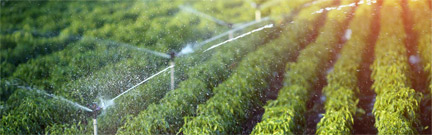 تصفیه آب در کشاورزی