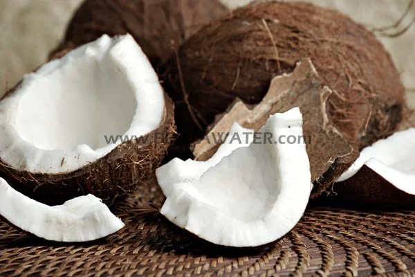 استفاده از پوست نارگیل در ساخت کربن اکتیو
