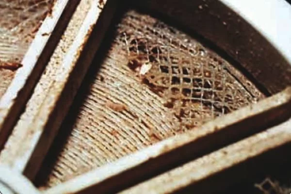 رسوبات روی ممبران